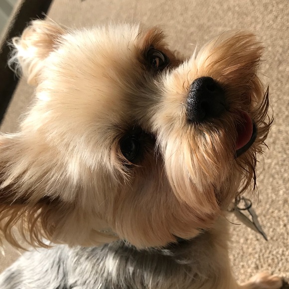 Meet your Posher, Halila - Picture 1 of 1